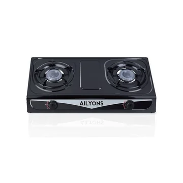 AILYONS GS013-2 Gas Cooker Stainless Steel Double Burner Black (1YR WRTY)