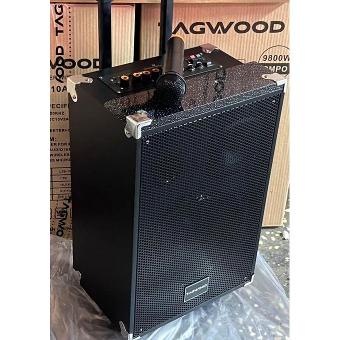 TAGWOOD 12 Inch Trolley Speaker Portable With Microphone — JayBright Technologies