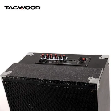 TAGWOOD 15 Inch Trolley Speaker – Portable with Microphone, image 3
