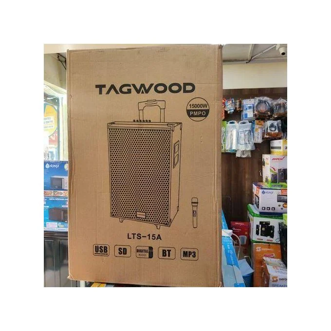 TAGWOOD 15 Inch Trolley Speaker – Portable with Microphone — JayBright Technologies